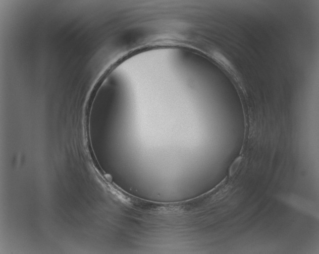 X0000052611384200507011216