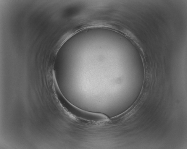 X0000052611385200507011216