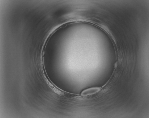 X0000052611388200507011216