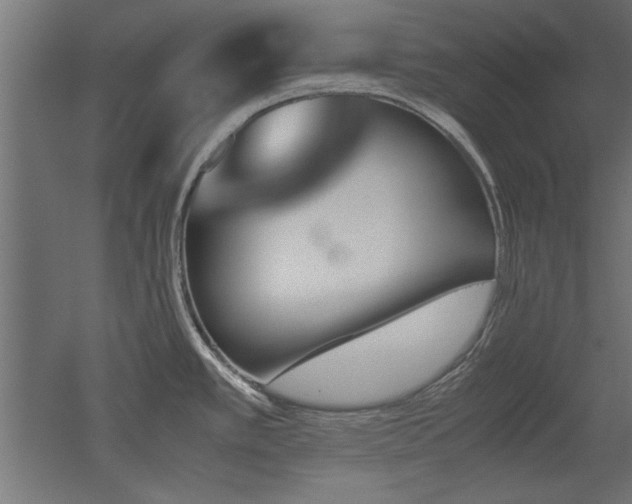 X0000052611389200507011216