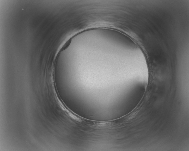 X0000052611390200507011216