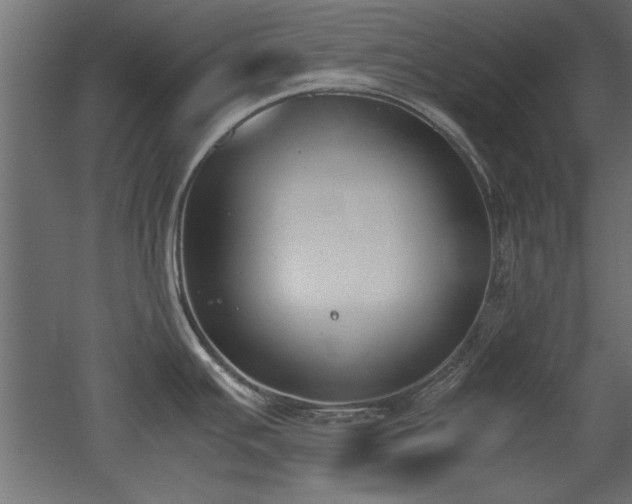 X0000052611391200507011216