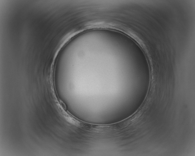 X0000052611392200507011216