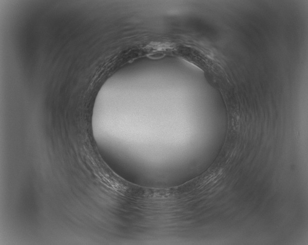 X0000052611393200507011215