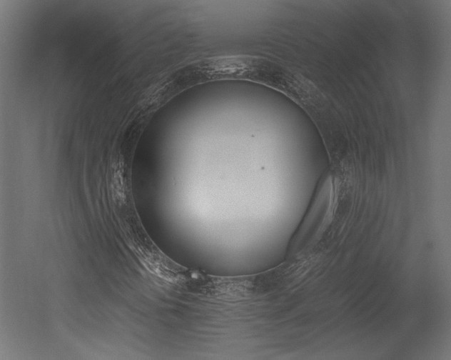 X0000052611394200507011215