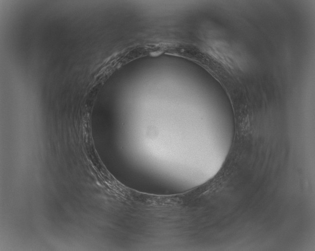 X0000052611397200507011215