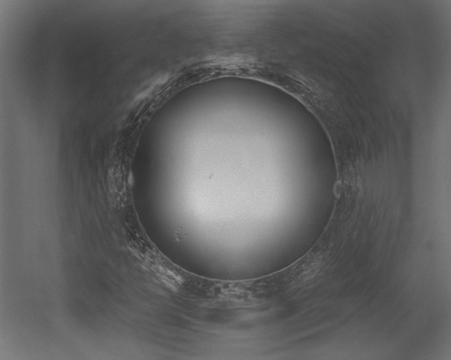 X0000052611398200507011215