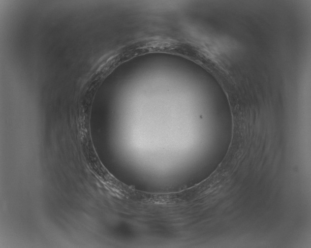 X0000052611399200507011215