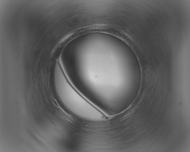 X0000052611402200507011215