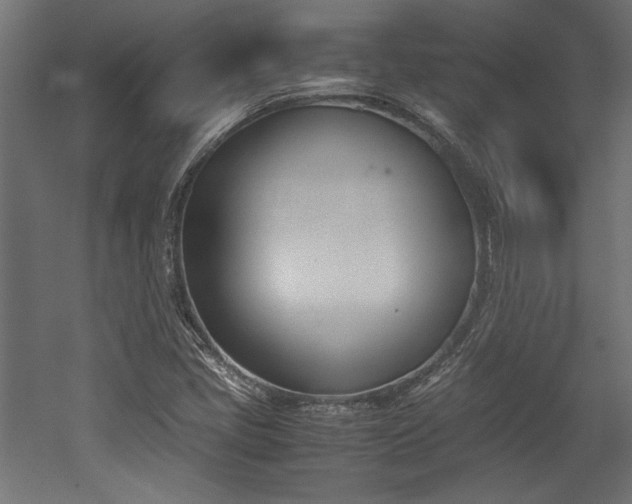 X0000052611405200507011215