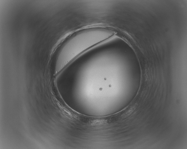 X0000052611406200507011215