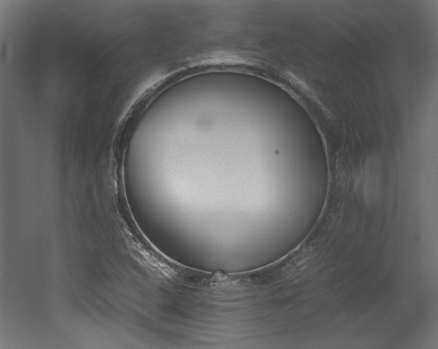 X0000052611408200507011215