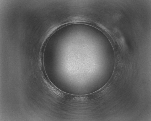 X0000052611415200507011215