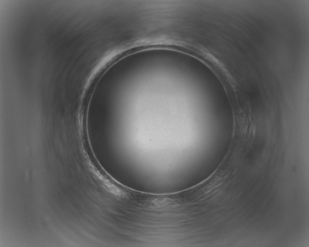 X0000052611416200507011215