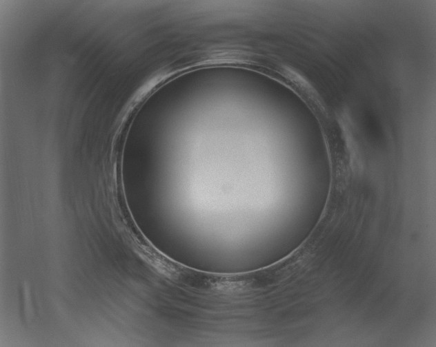 X0000052611419200507011215