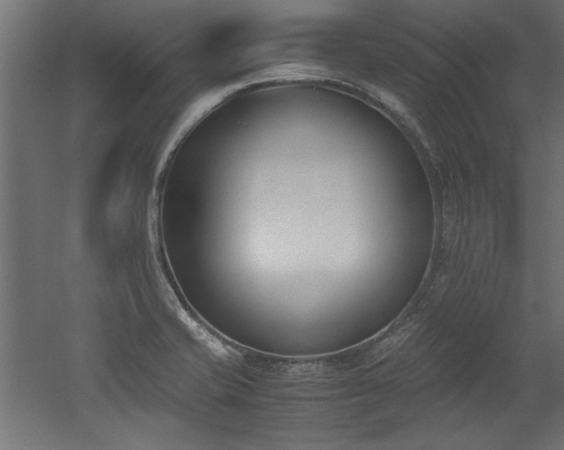 X0000052611421200507011215