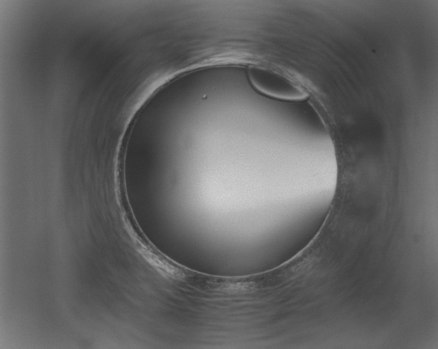 X0000052611423200507011215