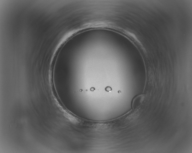 X0000052611424200507011215