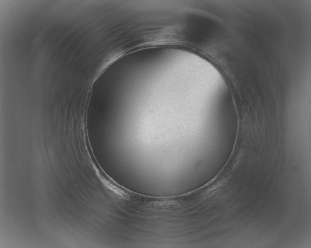 X0000052611425200507011215