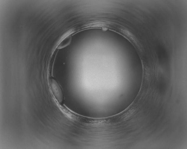 X0000052611426200507011215