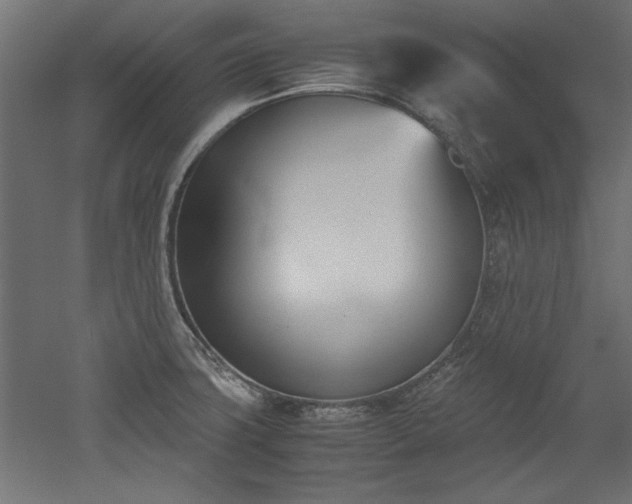 X0000052611427200507011215