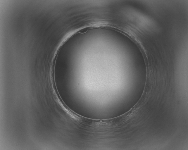 X0000052611429200507011215