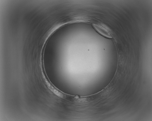 X0000052611431200507011215