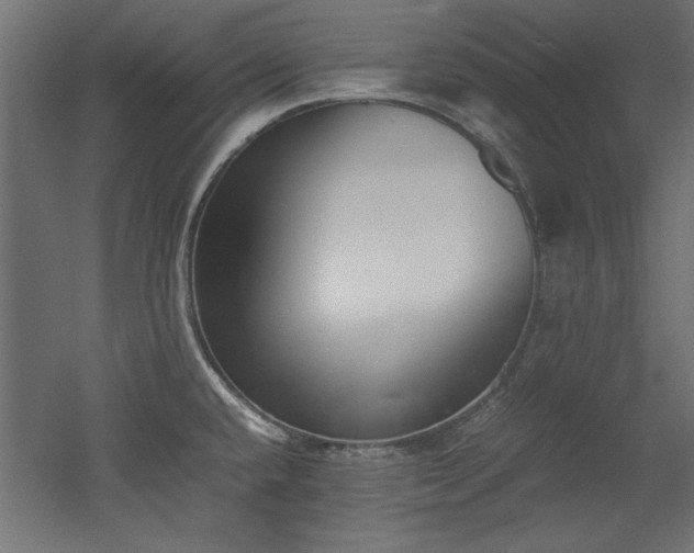 X0000052611432200507011215