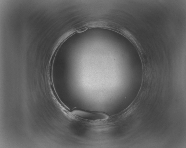 X0000052611434200507011216