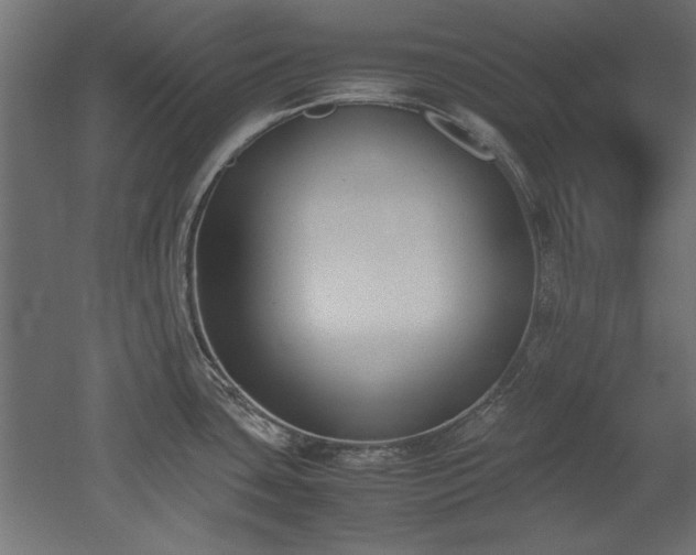 X0000052611435200507011216