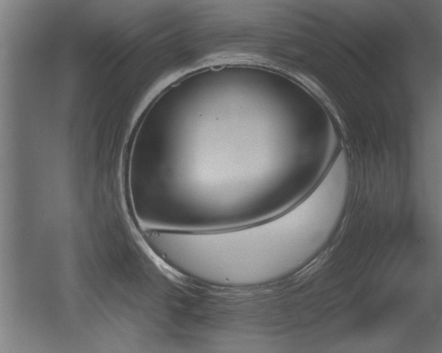 X0000052611438200507011216