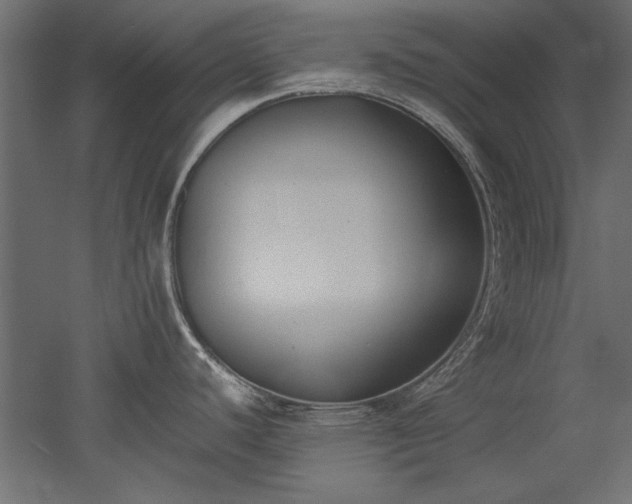 X0000052611440200507011216