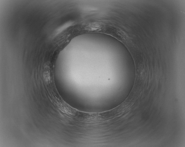 X0000052611442200507011215