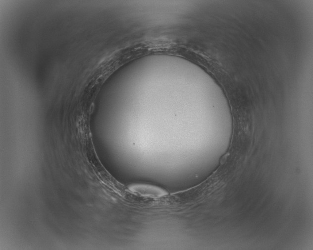 X0000052611445200507011215