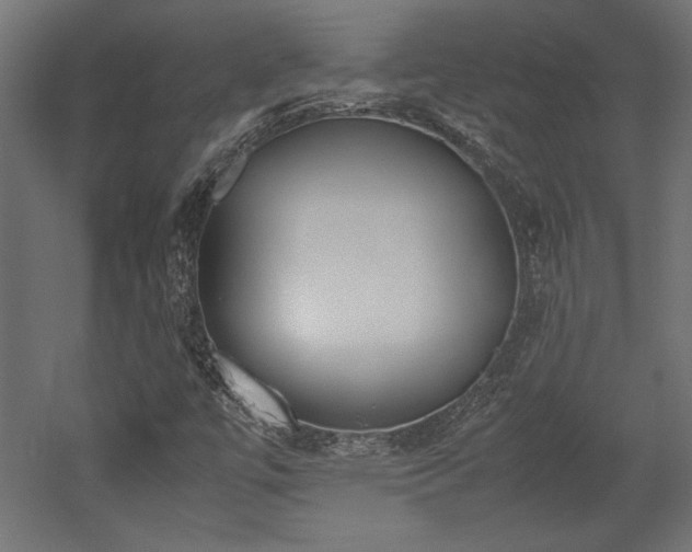 X0000052611447200507011215