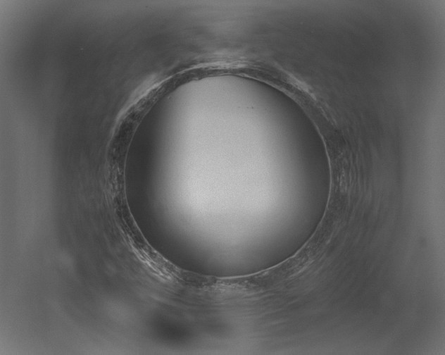 X0000052611448200507011215