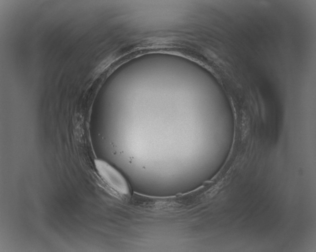 X0000052611449200507011215