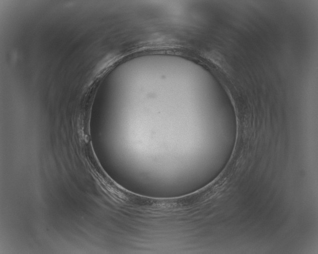 X0000052611451200507011215