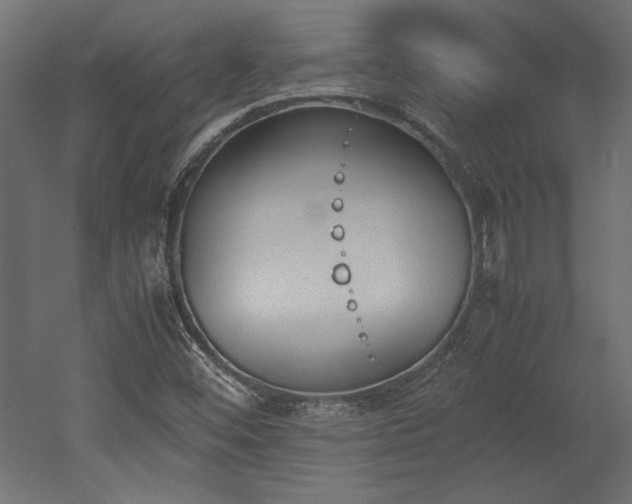 X0000052611452200507011215