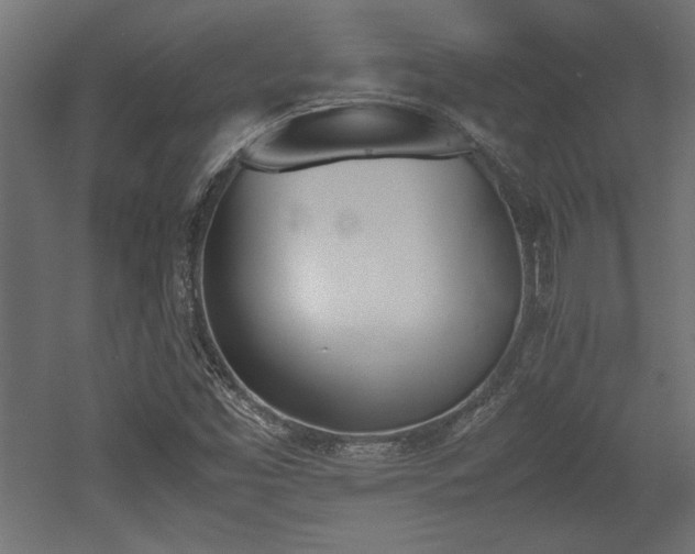 X0000052611453200507011215