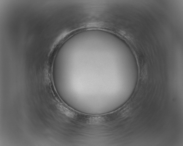 X0000052611454200507011215