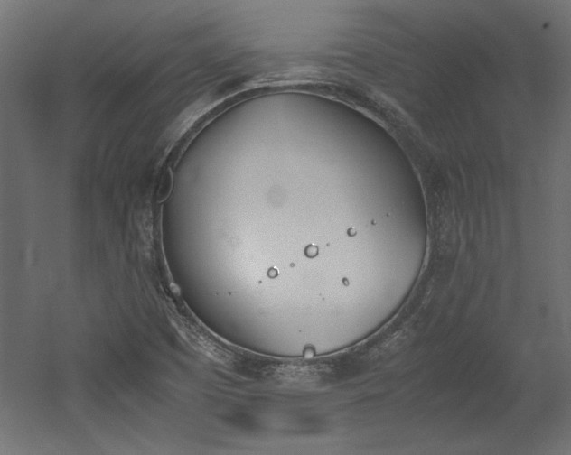 X0000052611457200507011215