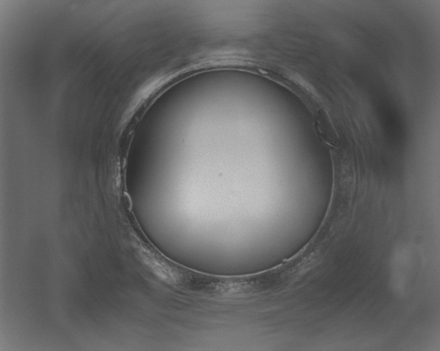 X0000052611461200507011214