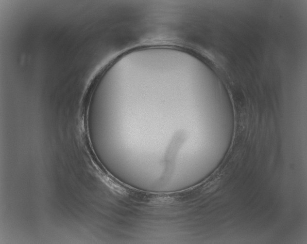 X0000052611462200507011214