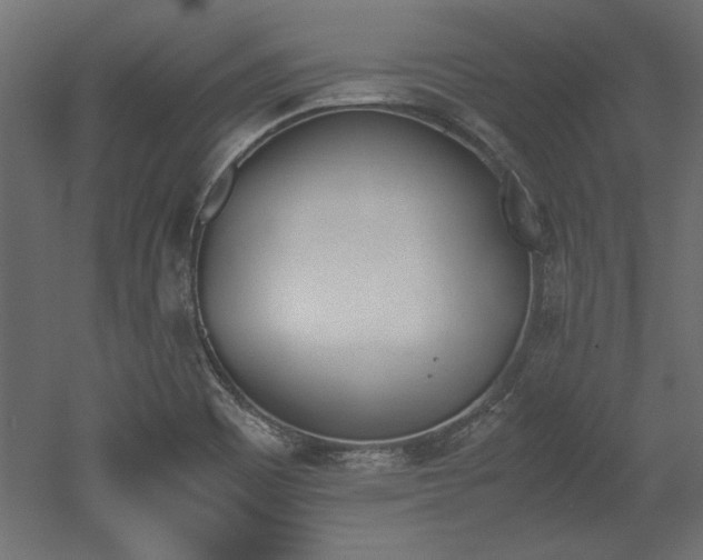 X0000052611465200507011214