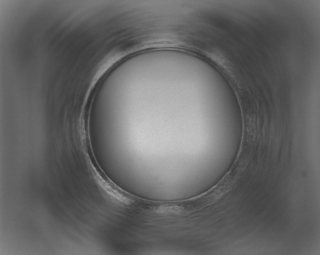 X0000052611466200507011214