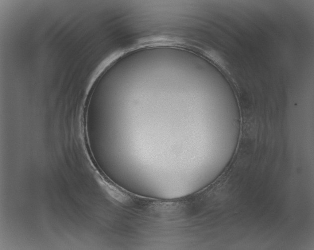 X0000052611474200507011214