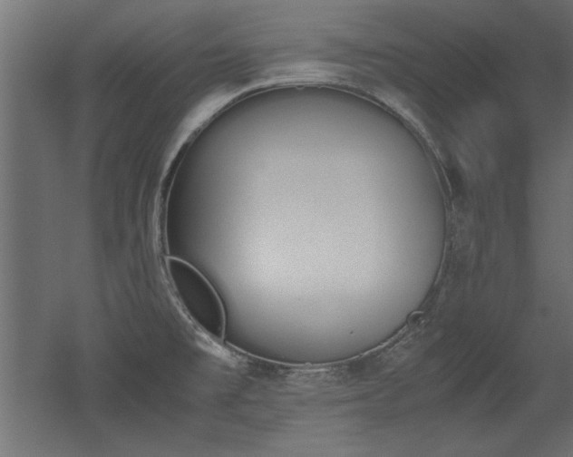 X0000052611477200507011214