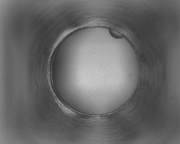 X0000052611478200507011214