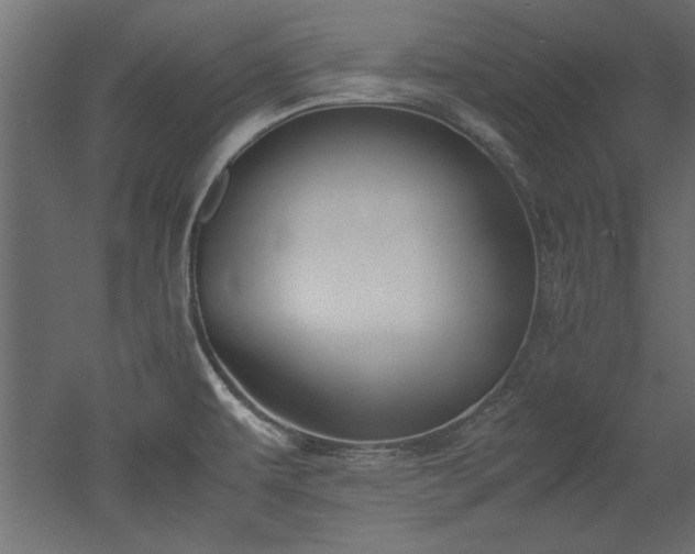 X0000052611479200507011214